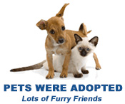 Pets Adopted