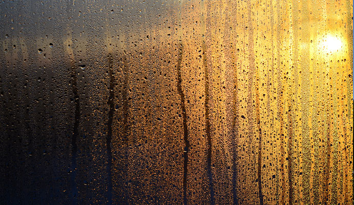 Window Condensation