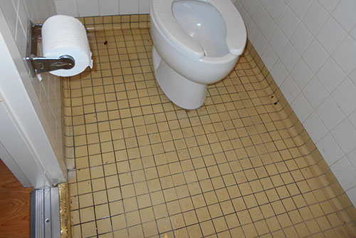 Toilet Overflow 