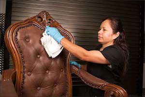 Dalworth tech cleaning leather furniture