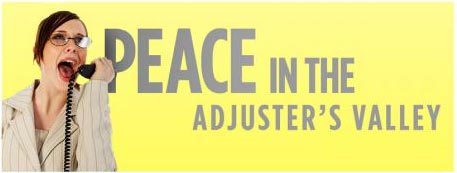 a banner image showing an insurance adjuster on the phone and says peace in the adjuster's valley