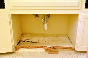 Water Damage Under Kitchen Cabinets / Water Damaged Hardwood Floors