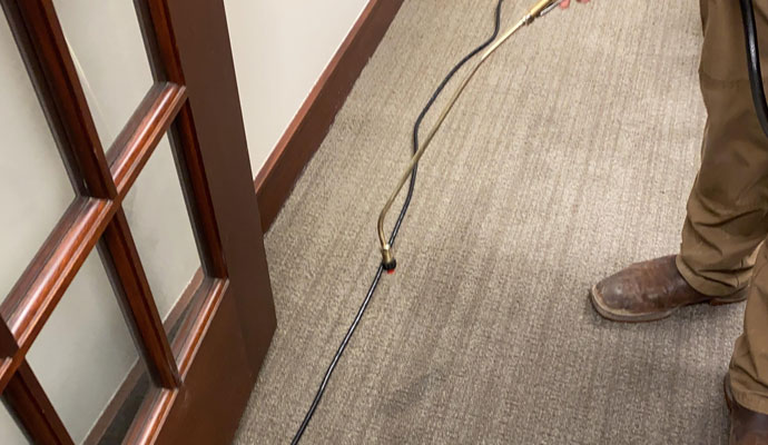 Family touching carpet after the restoration process