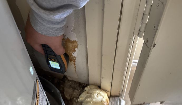 Attic structural drying and mold remediation service