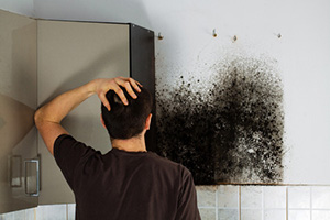 man looking at lots of mold