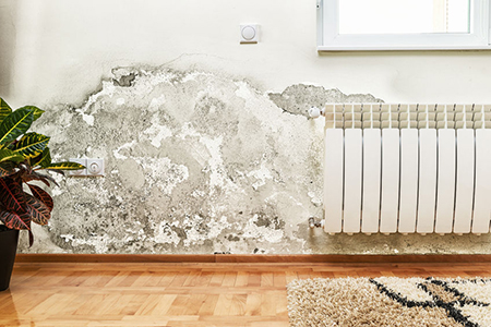 How To Prevent Mold With Proper Home Ventilation