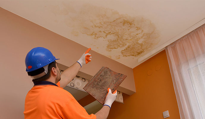 Ceiling Leak Inspection