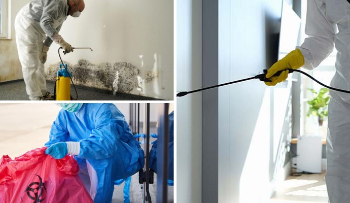 Collage of mold remediation, biohazard cleanup and disinfecting service