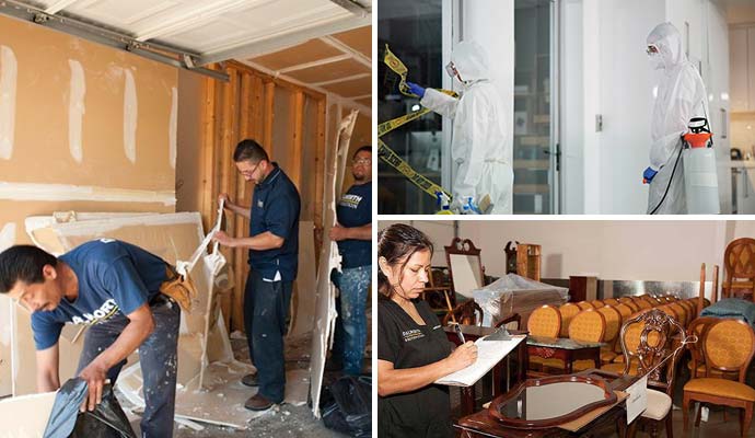 Collage of reconstruction, disinfecting service and furniture restoration