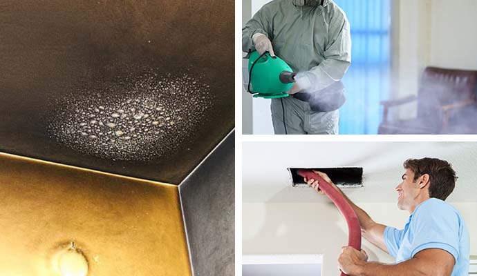 Collage of soot damaged ceiling, smoke odor removal service, and duct cleaning service