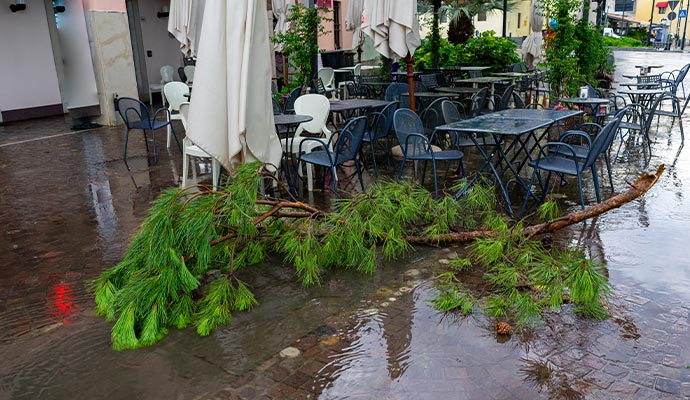 A fallen tree blocks an outdoor restaurant seating area