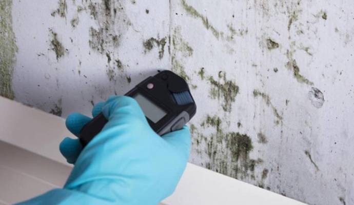 Mold Remediation