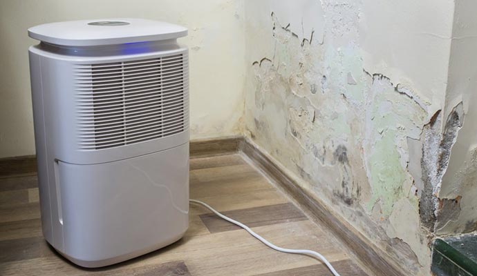 Dehumidifiers-Structural Drying