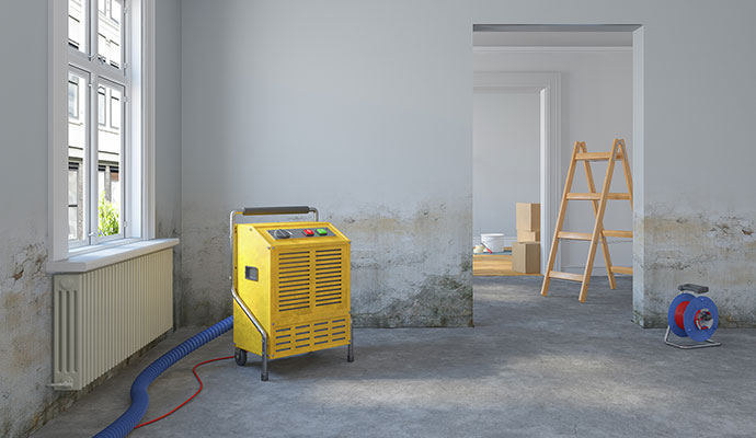 Desiccant Dehumidifier