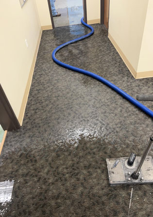 Extracting water from carpet Technician extracting water from commercial property