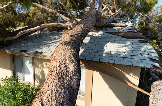 Roof damage restoration service