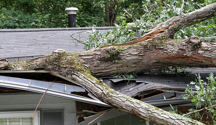 Importance of Storm Debris Clean Up 