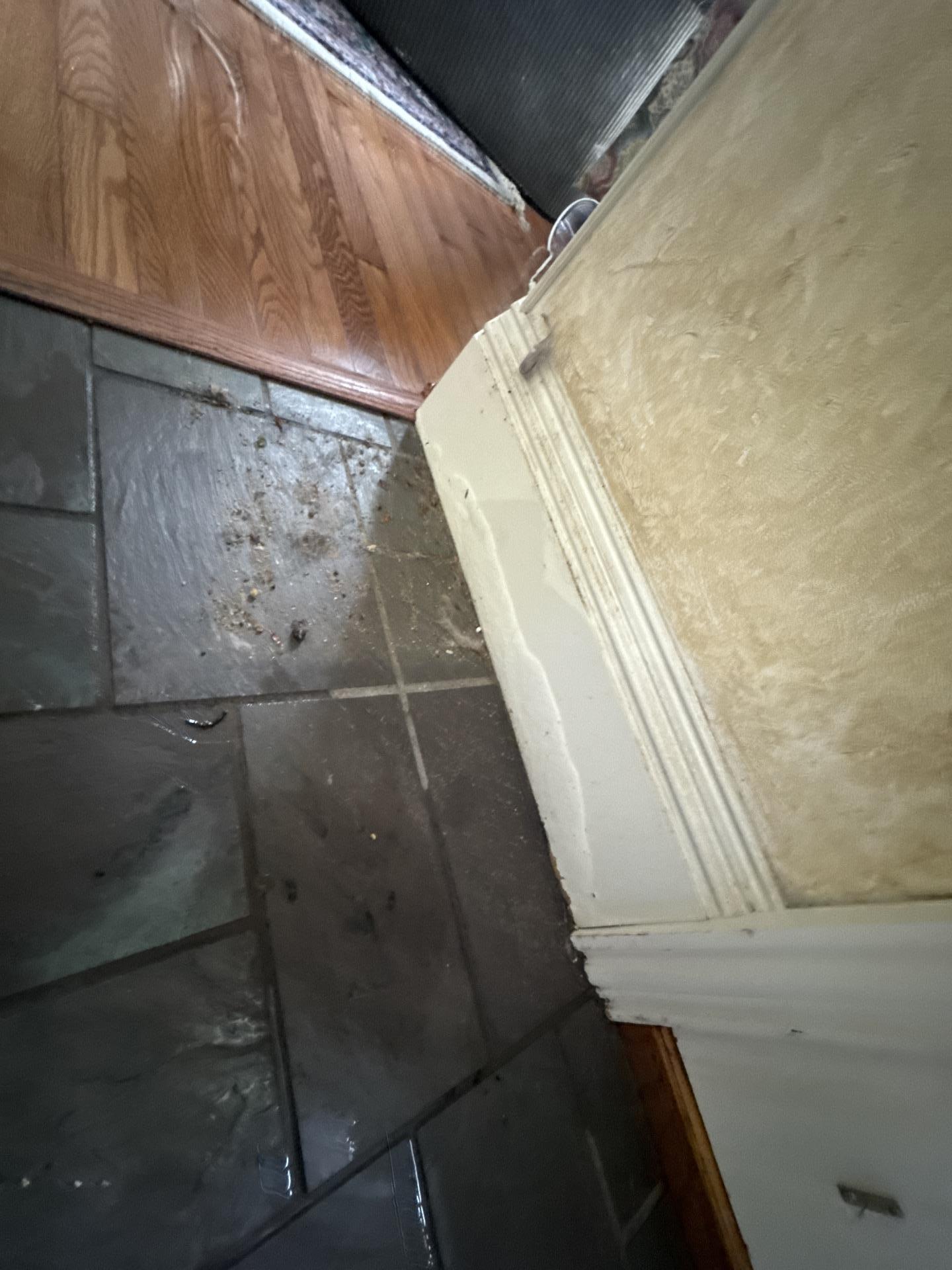 Close-up of water damage on slate tiles and adjacent hardwood flooring in a dining room