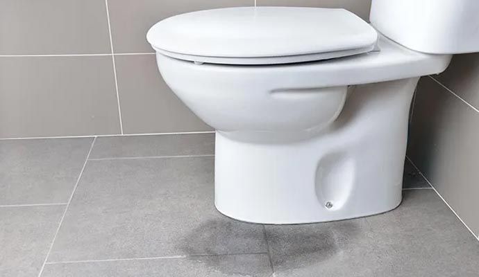 Leaked toilet