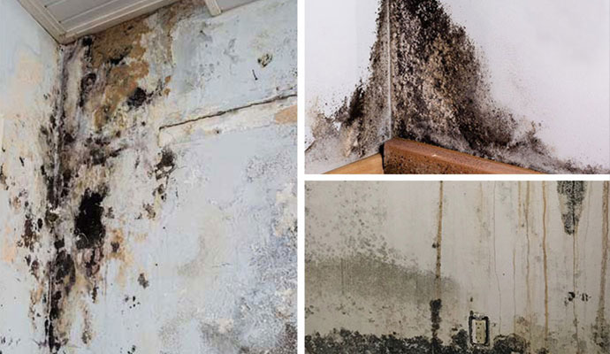 moldy room and wall