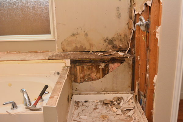 Mold Cleanup Process