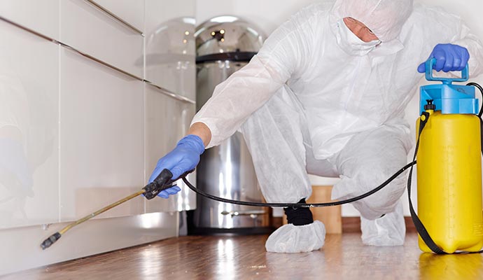 A professional in protective gear performing disinfection service using a spring machine in a residential room