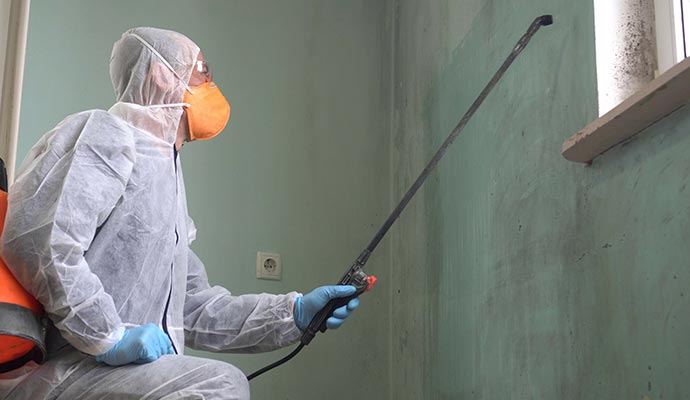 Professional mold remediation service for religious building