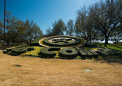 The Las Colinas Flower Clock is a fully-functioning timepiece that is decorated with fresh flowers and greenery year-round in Irving, TX. The Las Colinas Flower Clock is a fully-functioning timepiece that is decorated with fresh flowers and greenery year-round in Irving, TX.