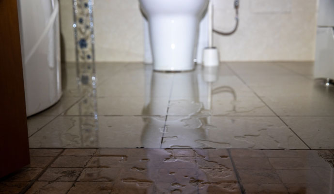 Leaking toilet bathroom floor