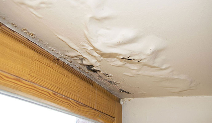 Roof Leaks and Structural Damage in Dallas/Fort Worth Texas