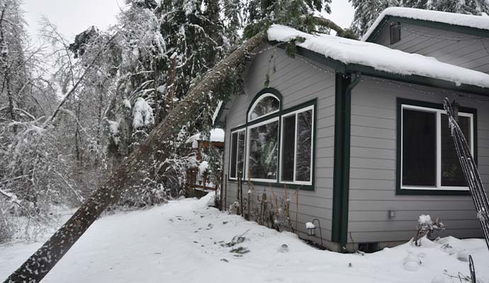 Snow covered house with fallen tree after winter storm