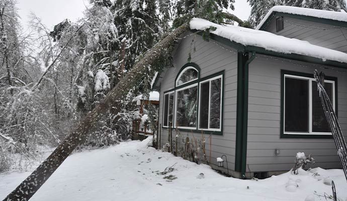 Snow storm damaged property