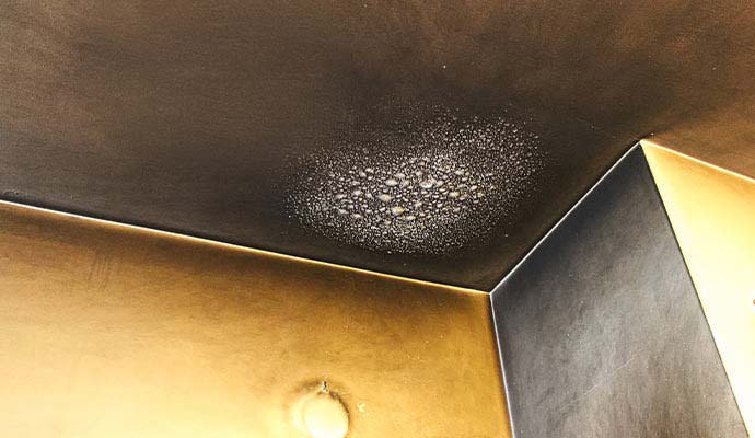 Soot and smoke damage on ceiling and wall