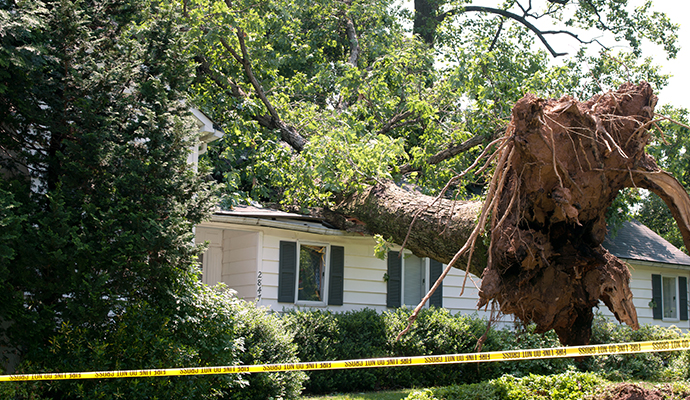 Wind Damage Restoration Services in Dallas-Fort Worth