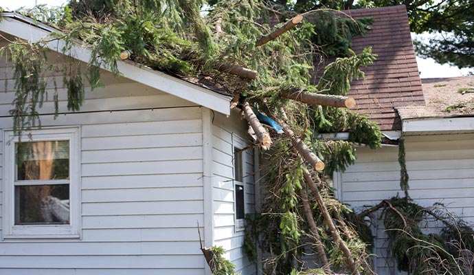 Roof damaged by fallen tree after a severe storm