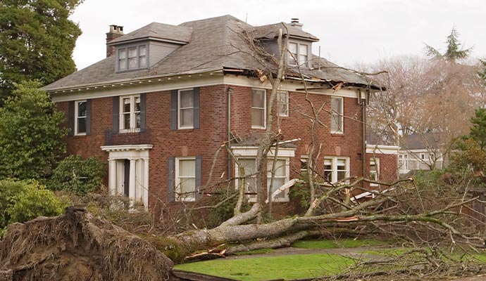 Tree fallen on house roof due to wind