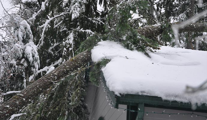 Winter storm damaged house