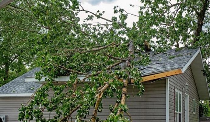 Storm Damage Services