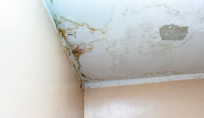 Structural Water Damage