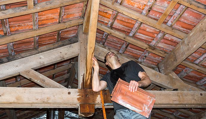 Attic Water Damage Restoration in Dallas-Fort Worth