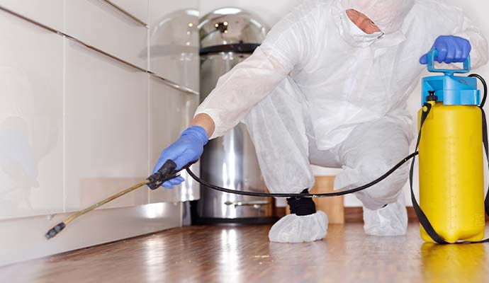 Technician disinfecting kitchen with sprayer Technician disinfecting kitchen with sprayer
