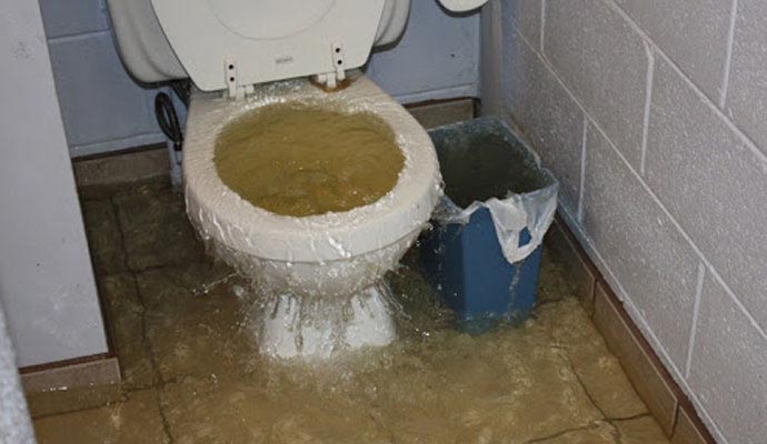 Toilet Overflow Sewage
