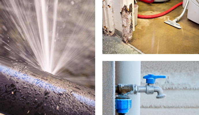 Pipe Leak Cleanup Service in Dallas-Fort Worth