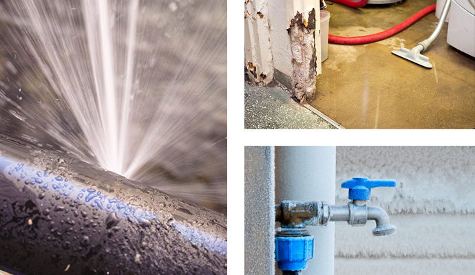 Pipe Leak Cleanup Service in Dallas, Texas