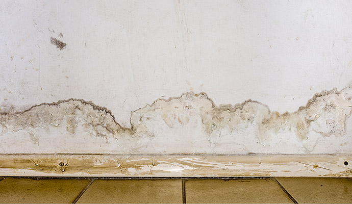 Water damage drywall