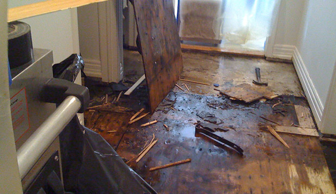 Floors & Carpet Water Damage