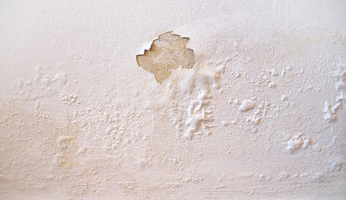 Water damage wall featuring bubbling paint