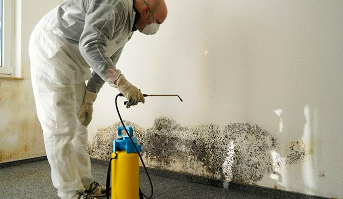 Mold removal treatment wall