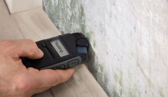 Mold testing moisture meter wall