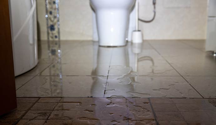 Overflowing toilet cleanup services